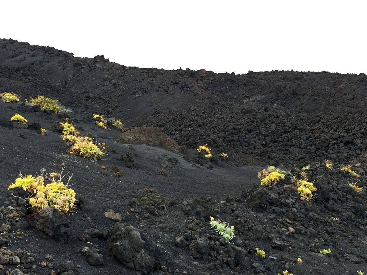 Appartamento Beach La Palma Tazacorte Esterno foto